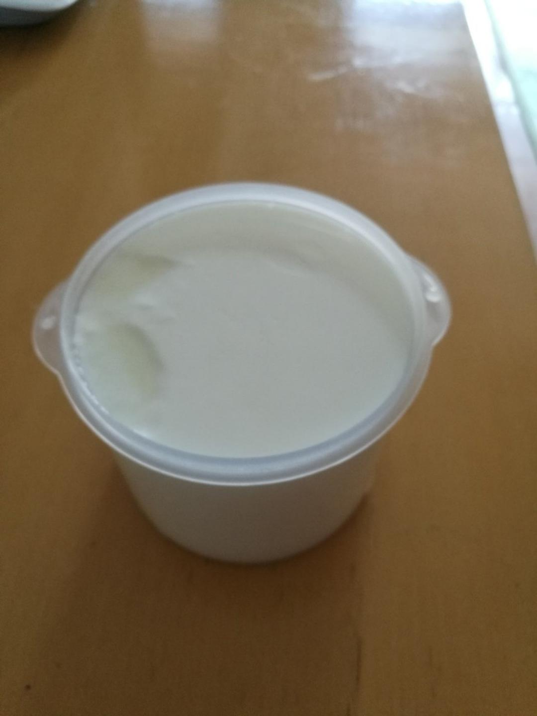自制酸奶