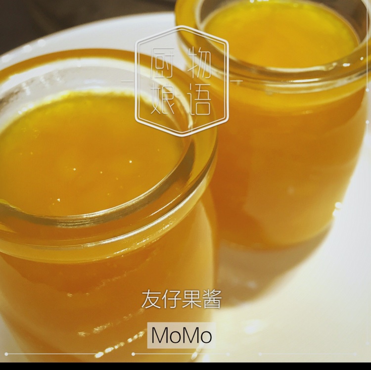 自制零添加酸甜芒果酱
