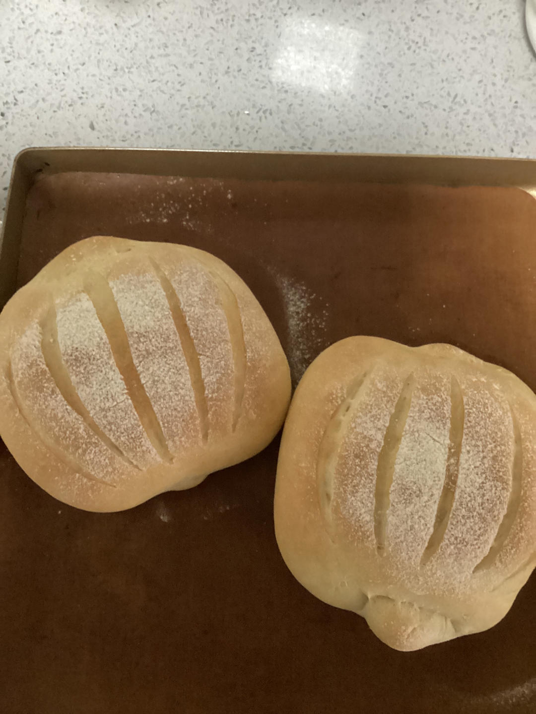 像吃海绵蛋糕的双倍特浓牛奶哈斯