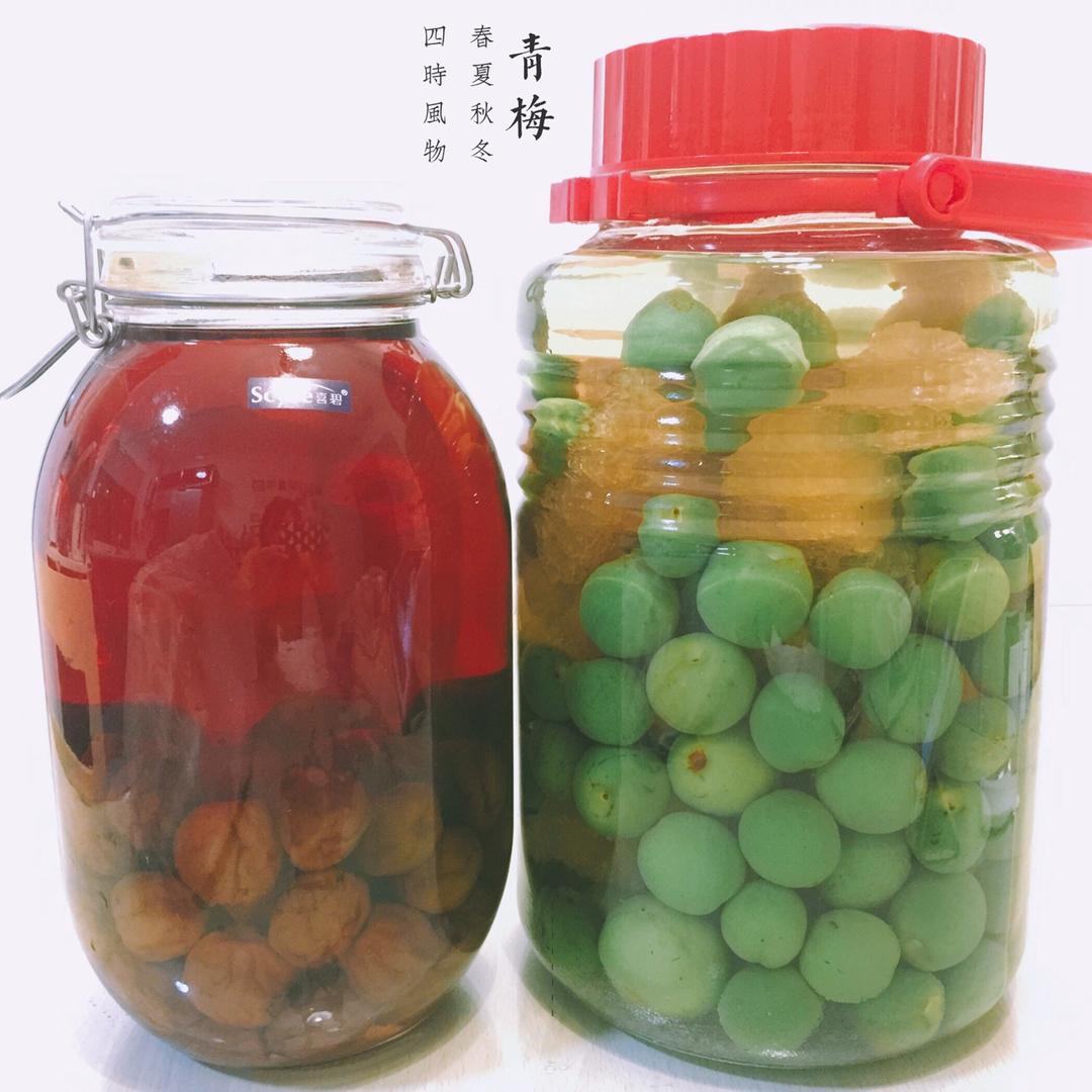 【青梅酒】梅子的沉醉时光（已填坑）