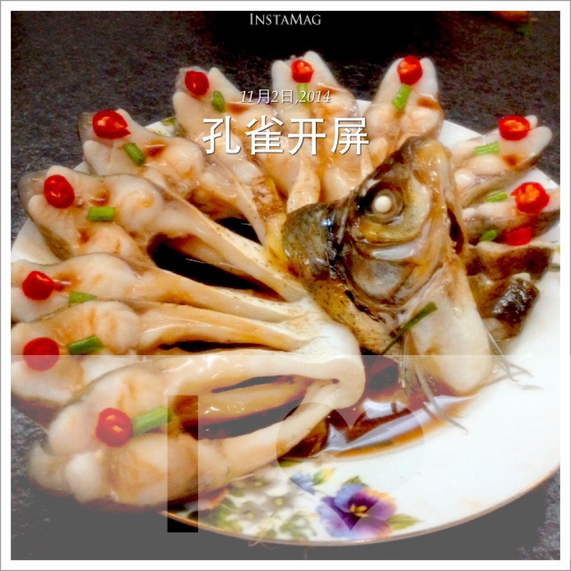 孔雀开屏鱼