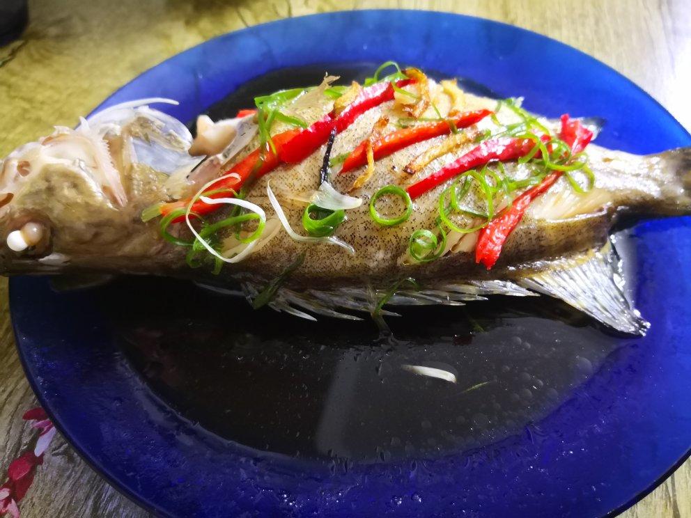清蒸桂鱼