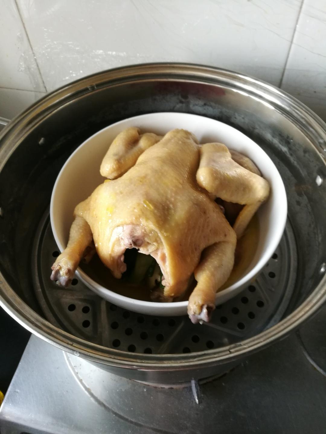 诗雨嫣然做的隔水蒸鸡(清水鸡)隔水蒸鸡(清水鸡)