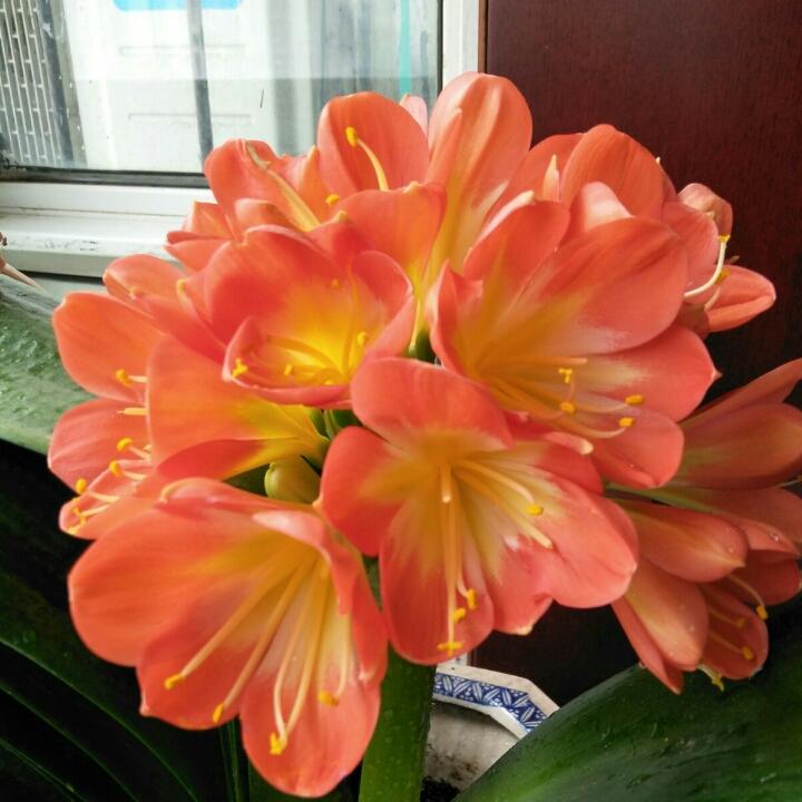 手机用户7562_8ral