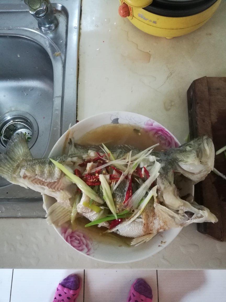 超入味清蒸鱼～清蒸鲈鱼桂花鱼（家常独创）