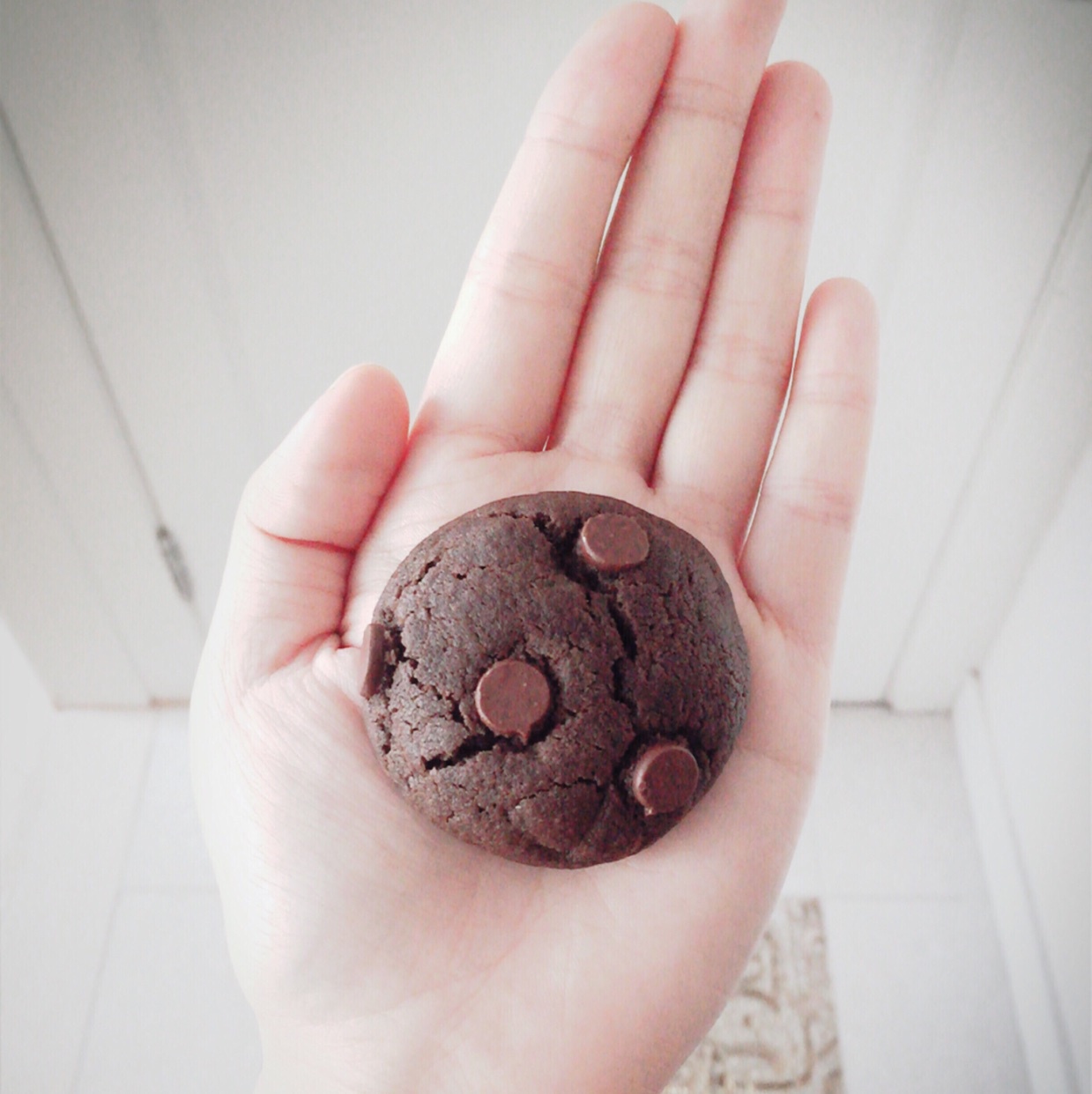 巧克力豆曲奇(Chocolate Chip Cookies)