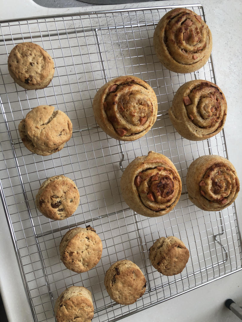 提子百利甜司康