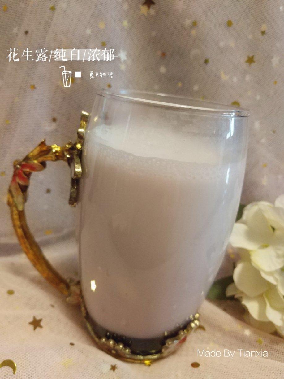 花生露（豆浆机版）