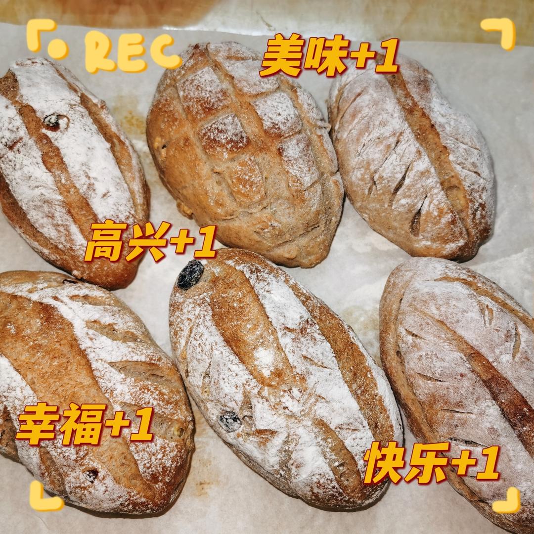 全麦蔓越莓核桃软欧包