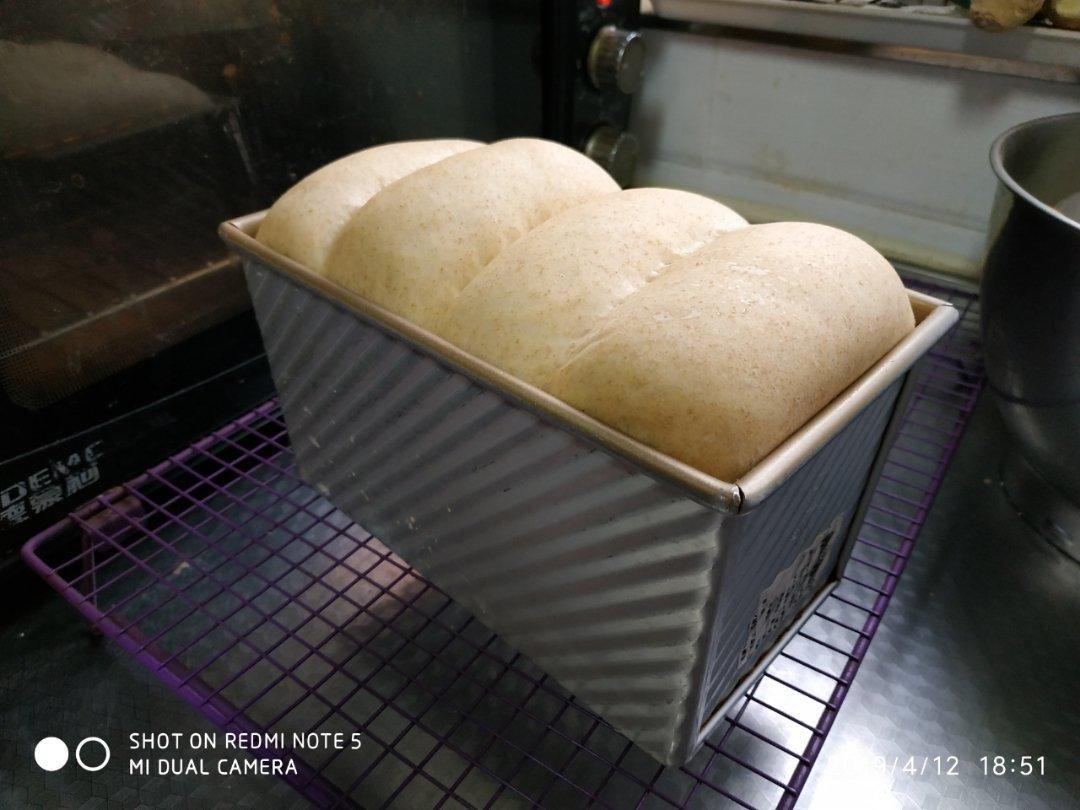 全麦波兰酵头吐司