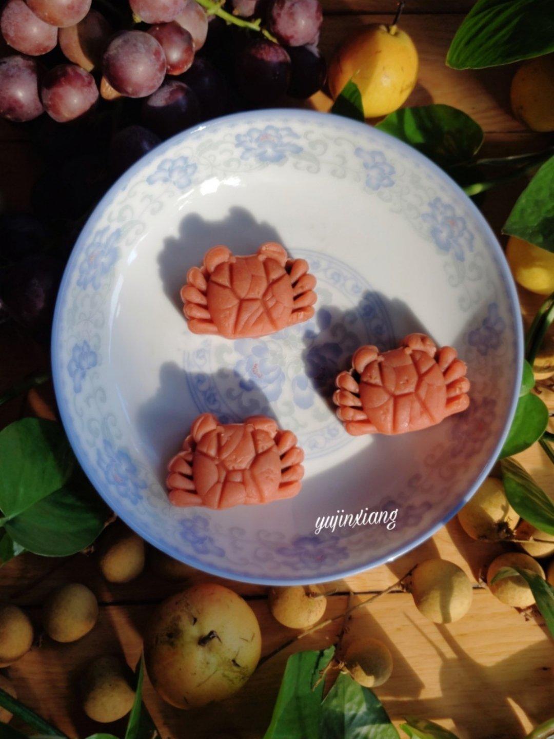 郁金香的幸福时光（花花草草，萌宠及风景等）