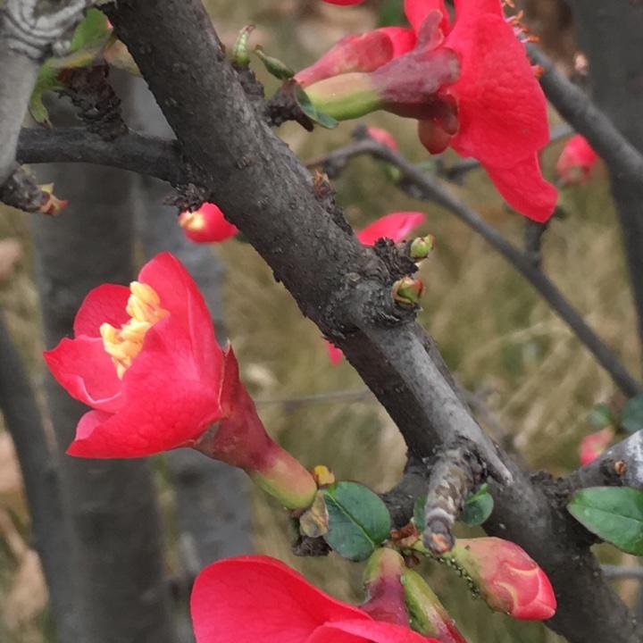 手机用户0201_i30p