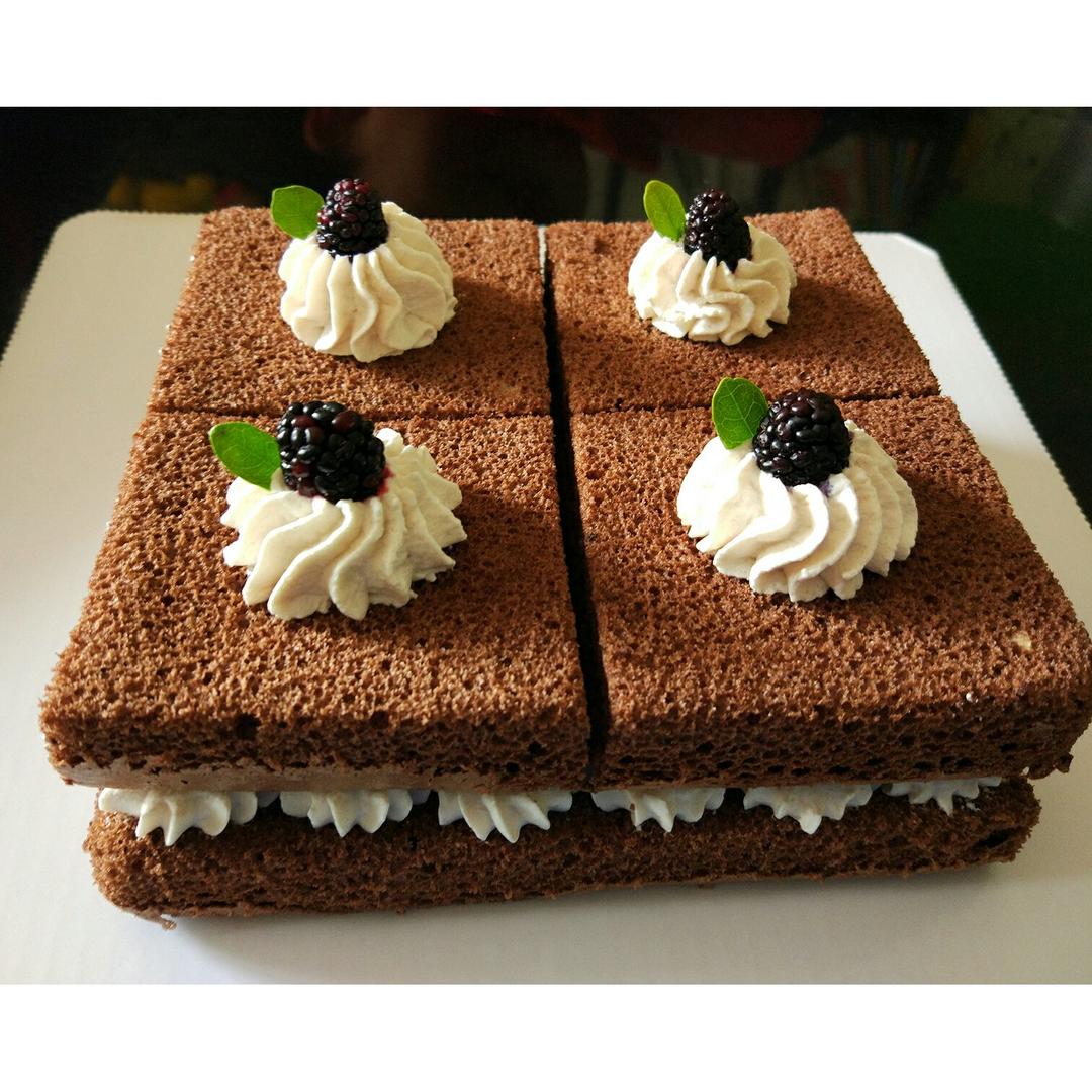 非凡佑佑做的可可方形装饰蛋糕