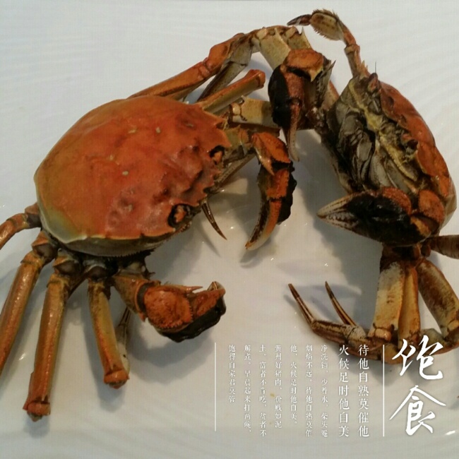 闲聊大闸蟹