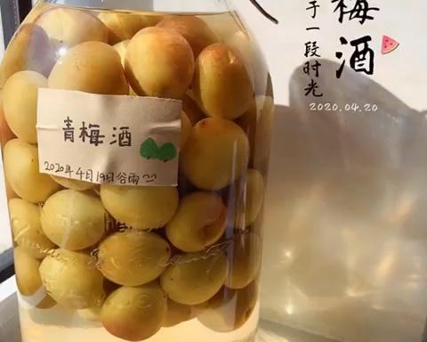青梅酒