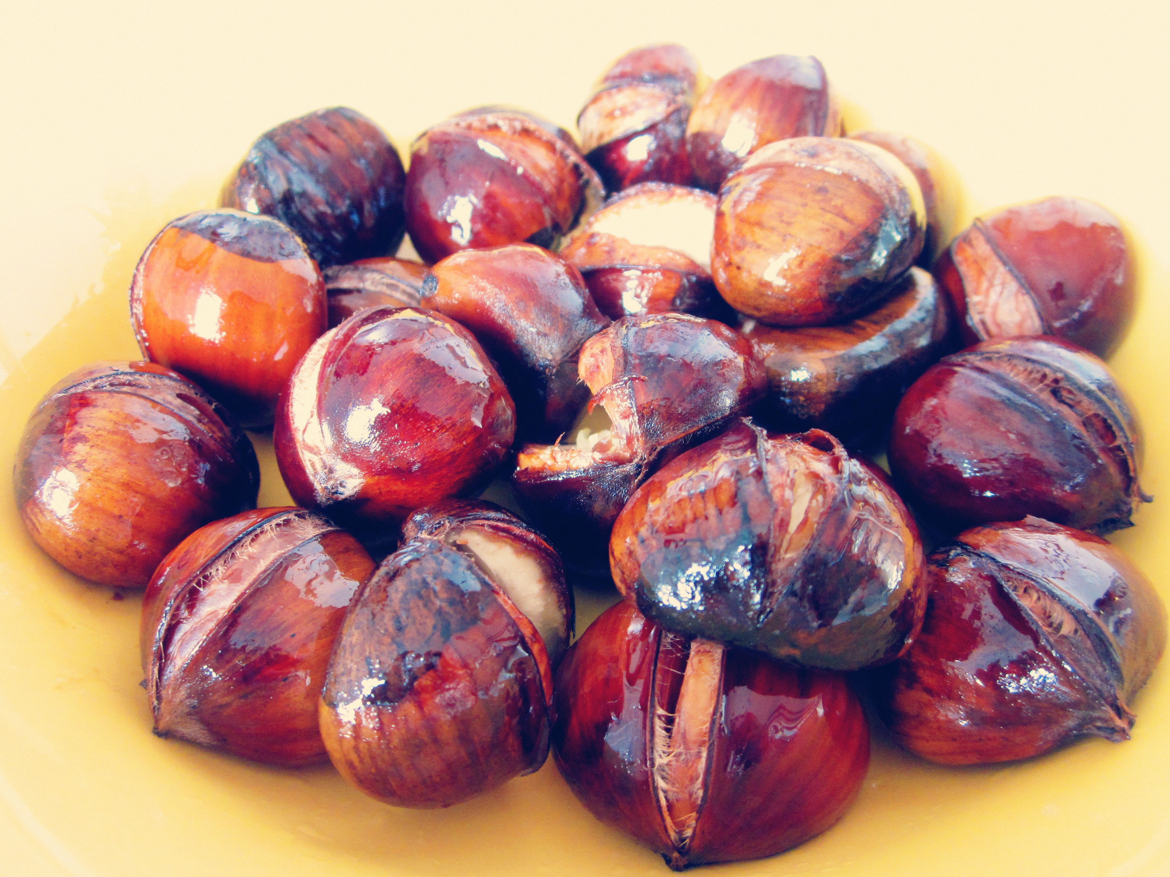 慵懒美丽的栗子