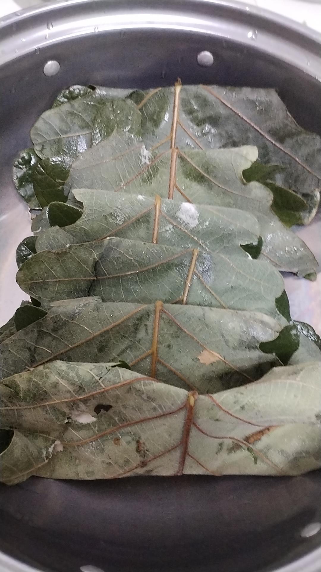 桲椤叶饼