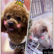 包果_麻麻总在拆包裹