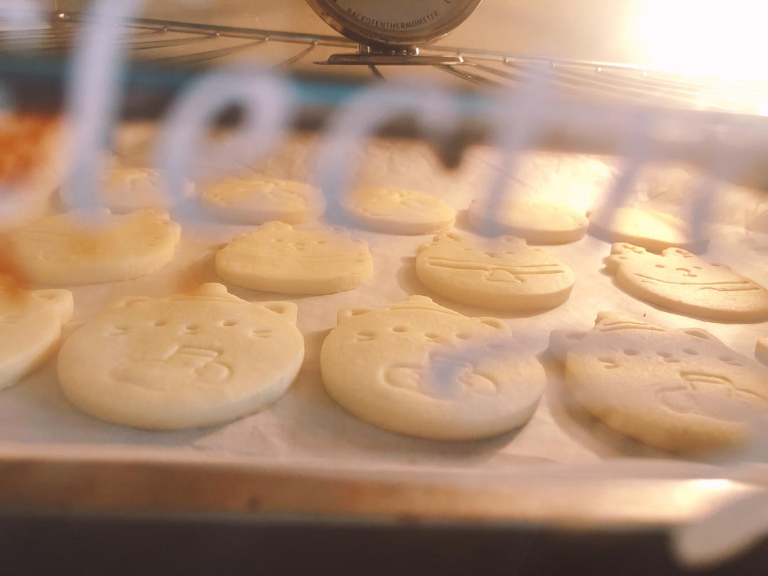 🥨万能饼干配方|3色史努比🌟