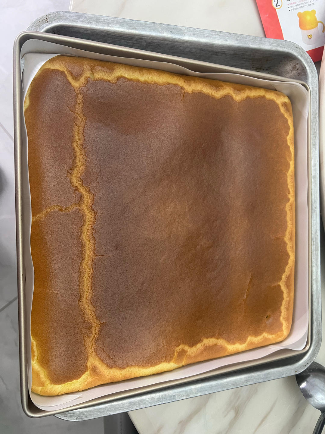 经典提子蛋糕卷