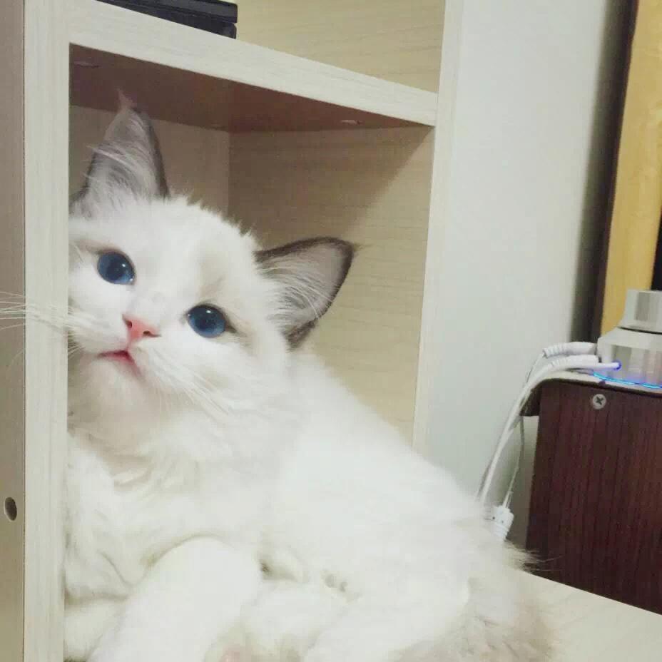 多多乐洛