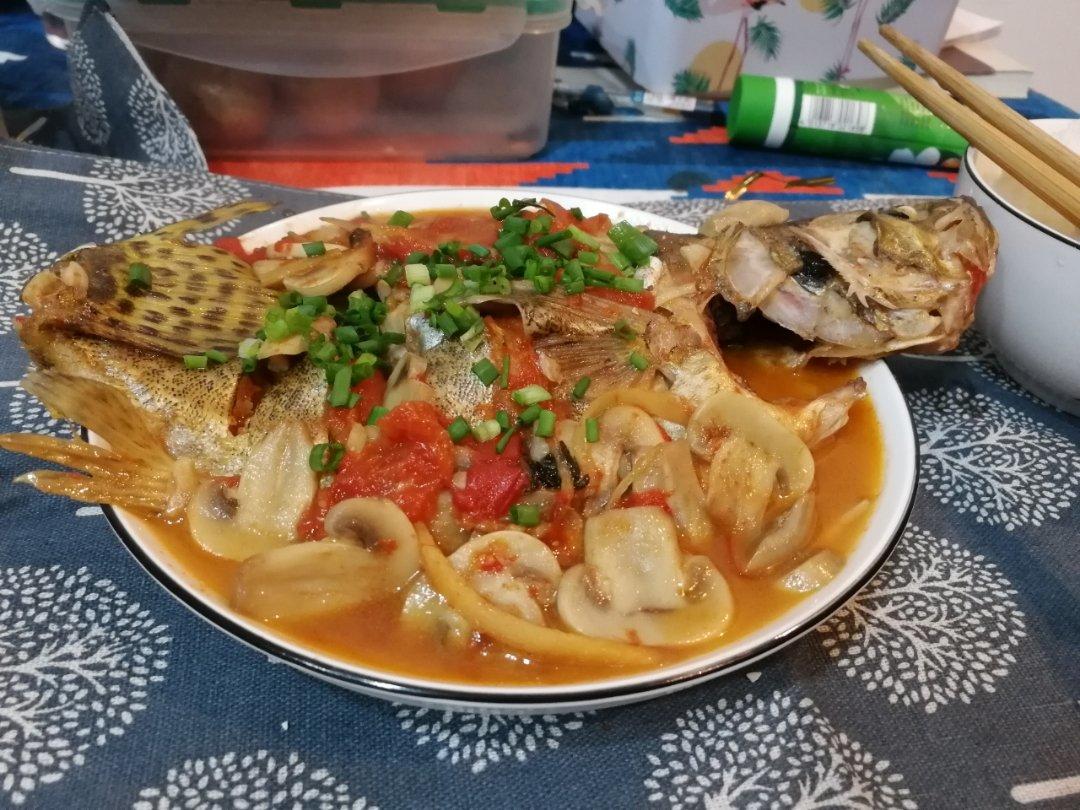 酸甜鲜香的番茄口蘑煮桂鱼/番茄桂鱼