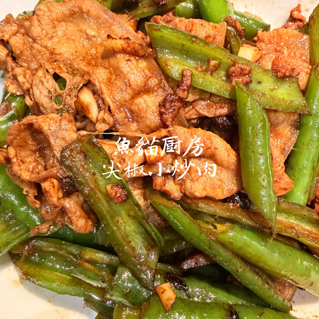 🌶️尖椒小炒肉🌶️——家庭简单快手版❗️蚝油生抽老抽就是全部调味品❗️