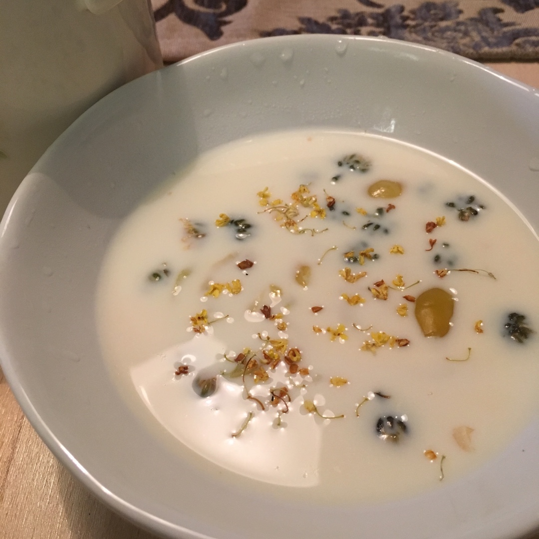菊花白果炖牛奶