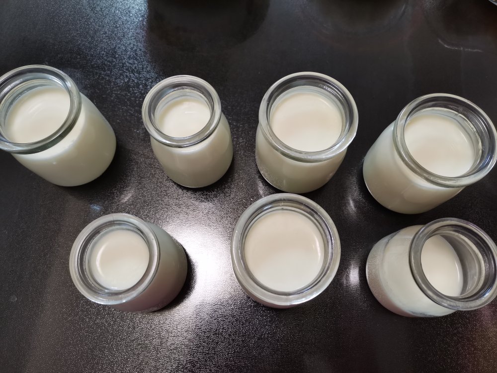 酸奶，自制酸奶，浓厚醇香
