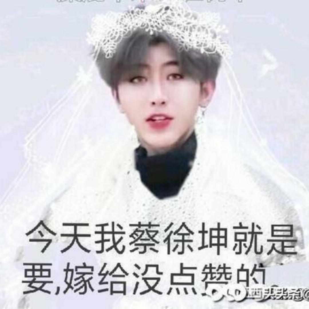 吕担迈照崖