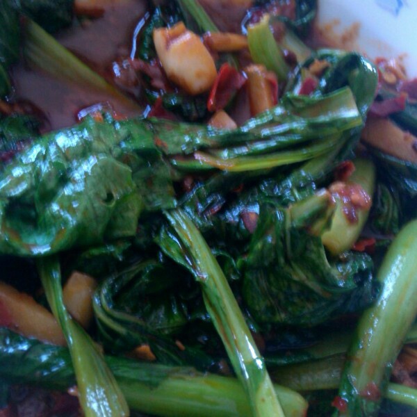 豆豉油麦菜