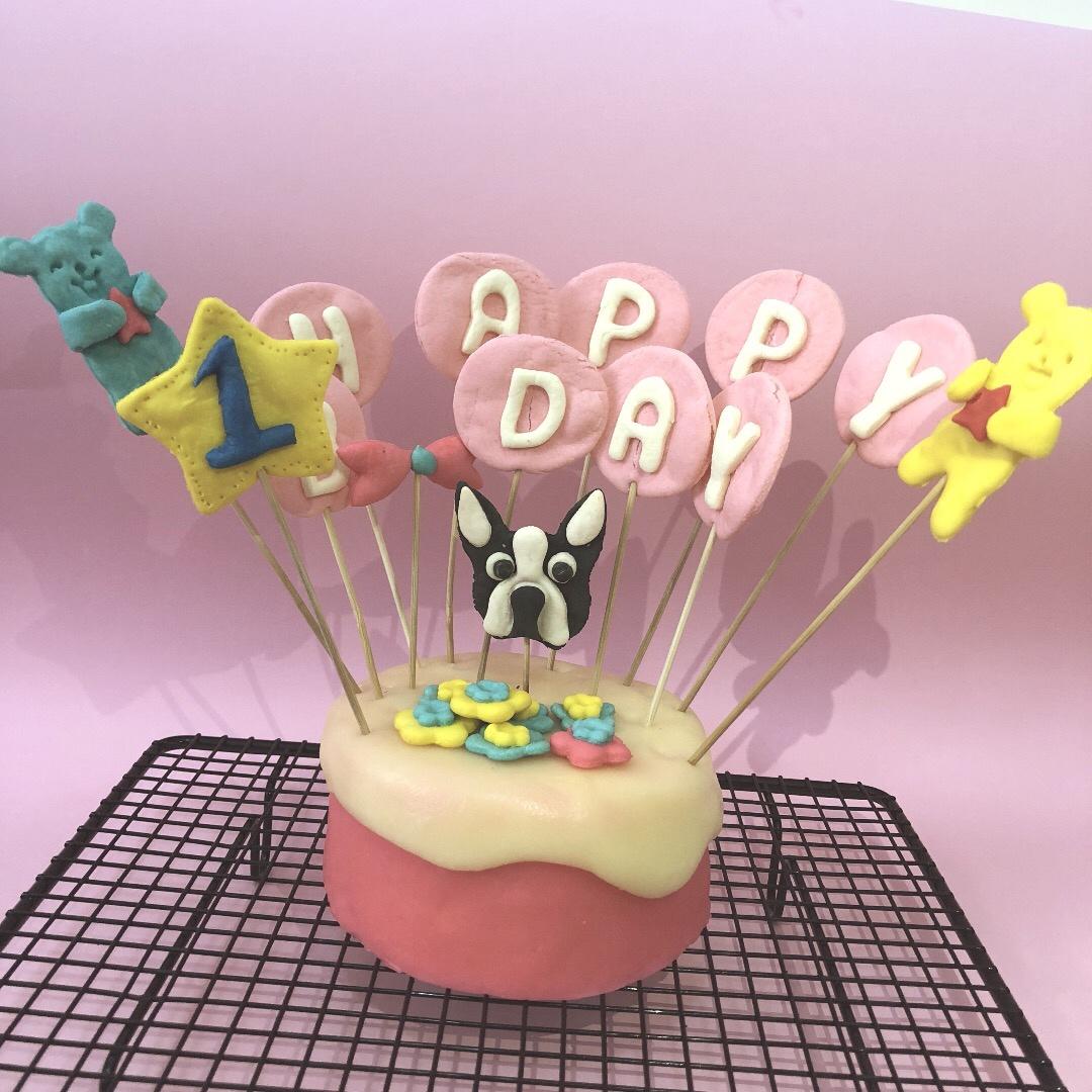 宠物生日蛋糕 宠物蛋糕 狗狗蛋糕 猫蛋糕
