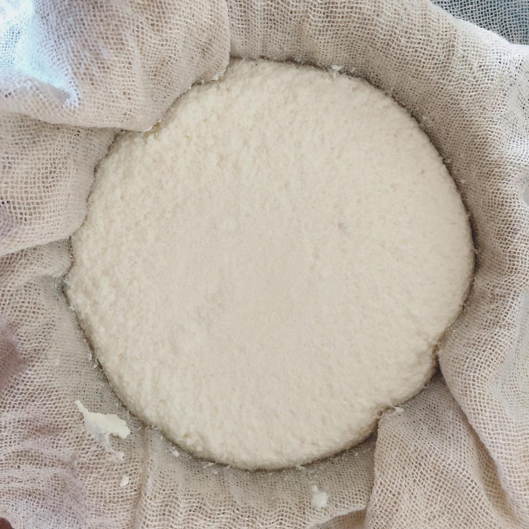 酸奶自制茅屋奶酪，乳清不酸不浪费！健身推荐，超简单