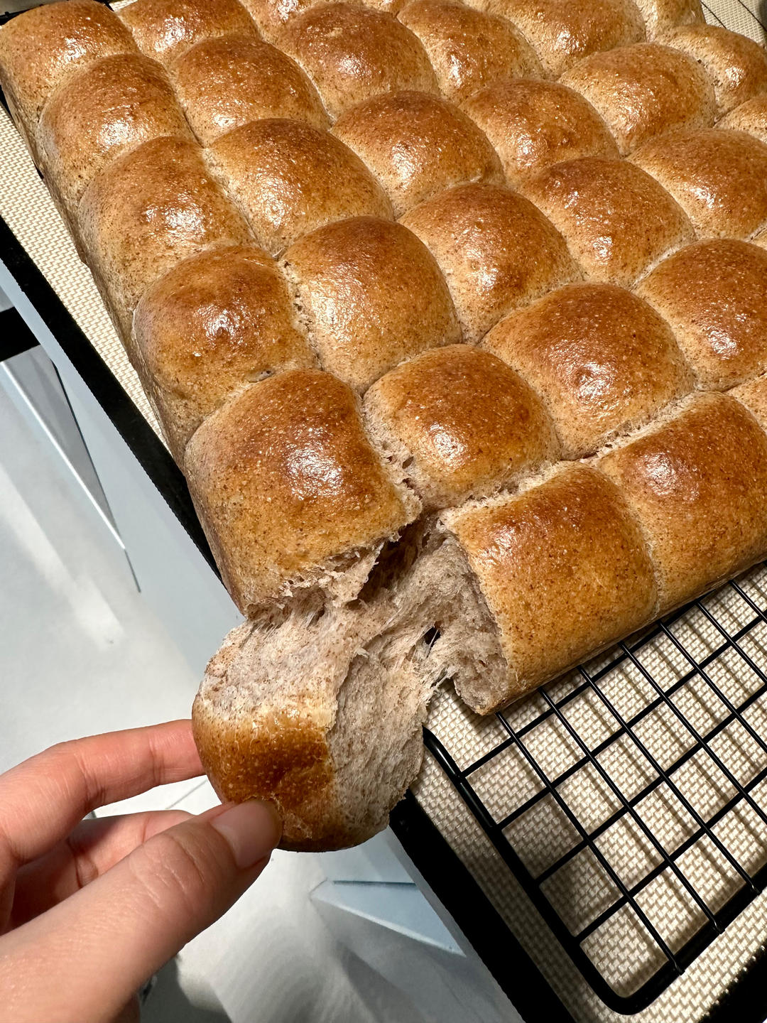 蜂蜜全麦小餐包｜浸泡全麦法