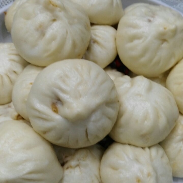 家常蒸包子（新手必学 超详 各式花卷馒头适用）