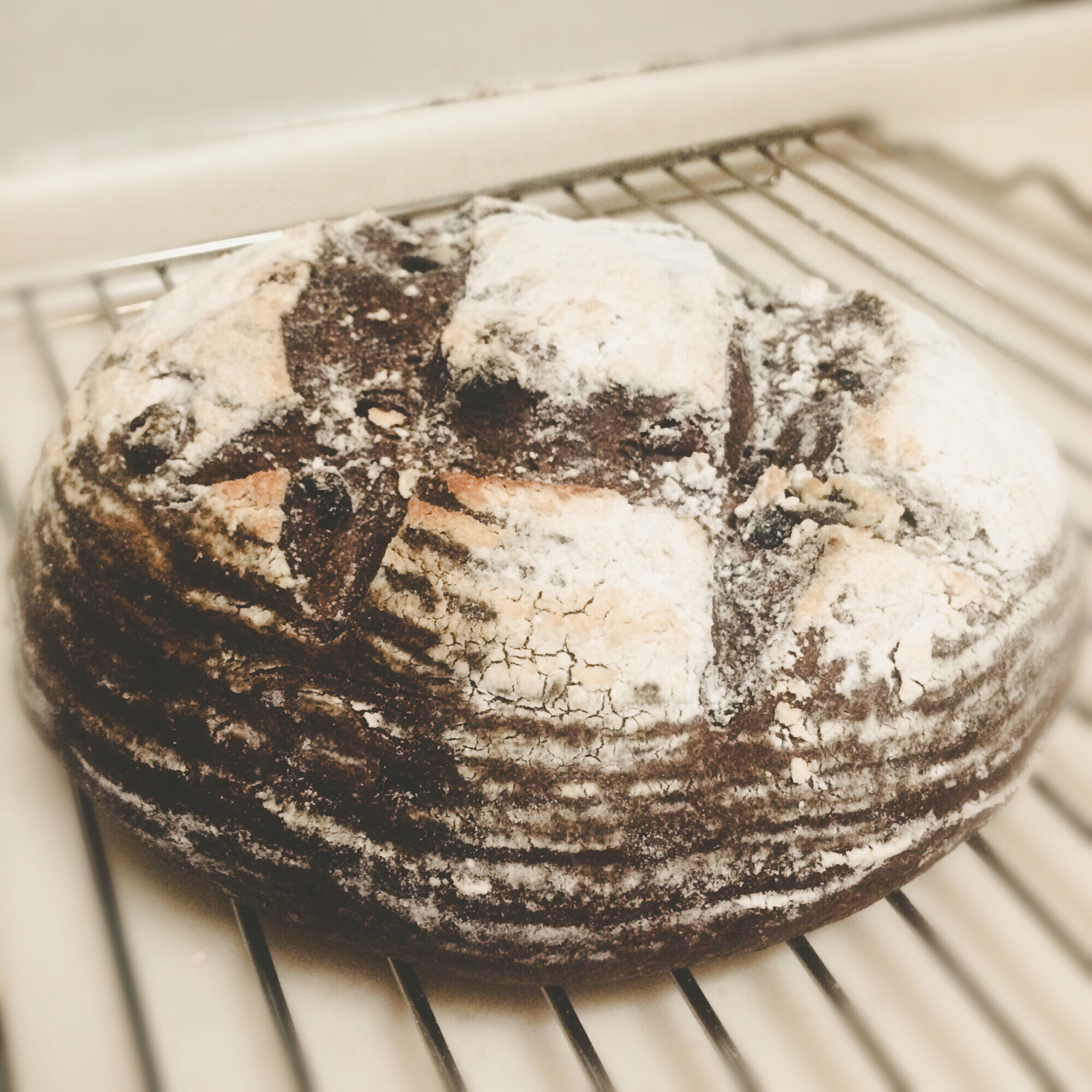 黑麦天然酵种红茶欧包