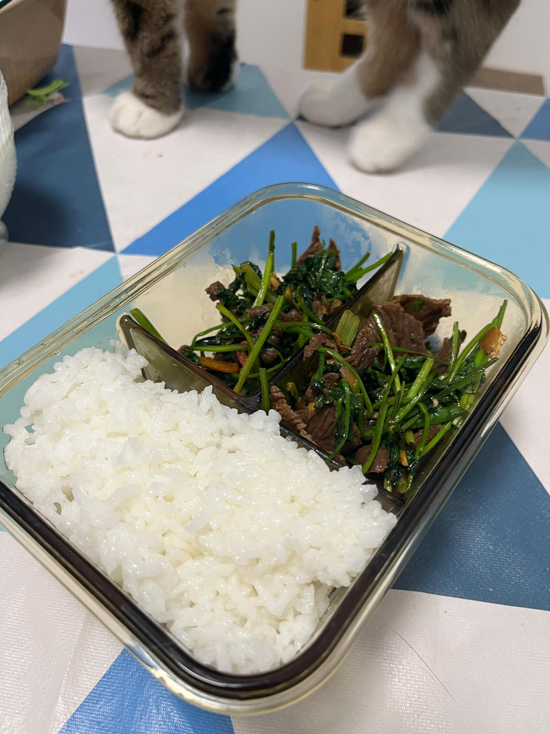 香菜炒牛肉（嫩）