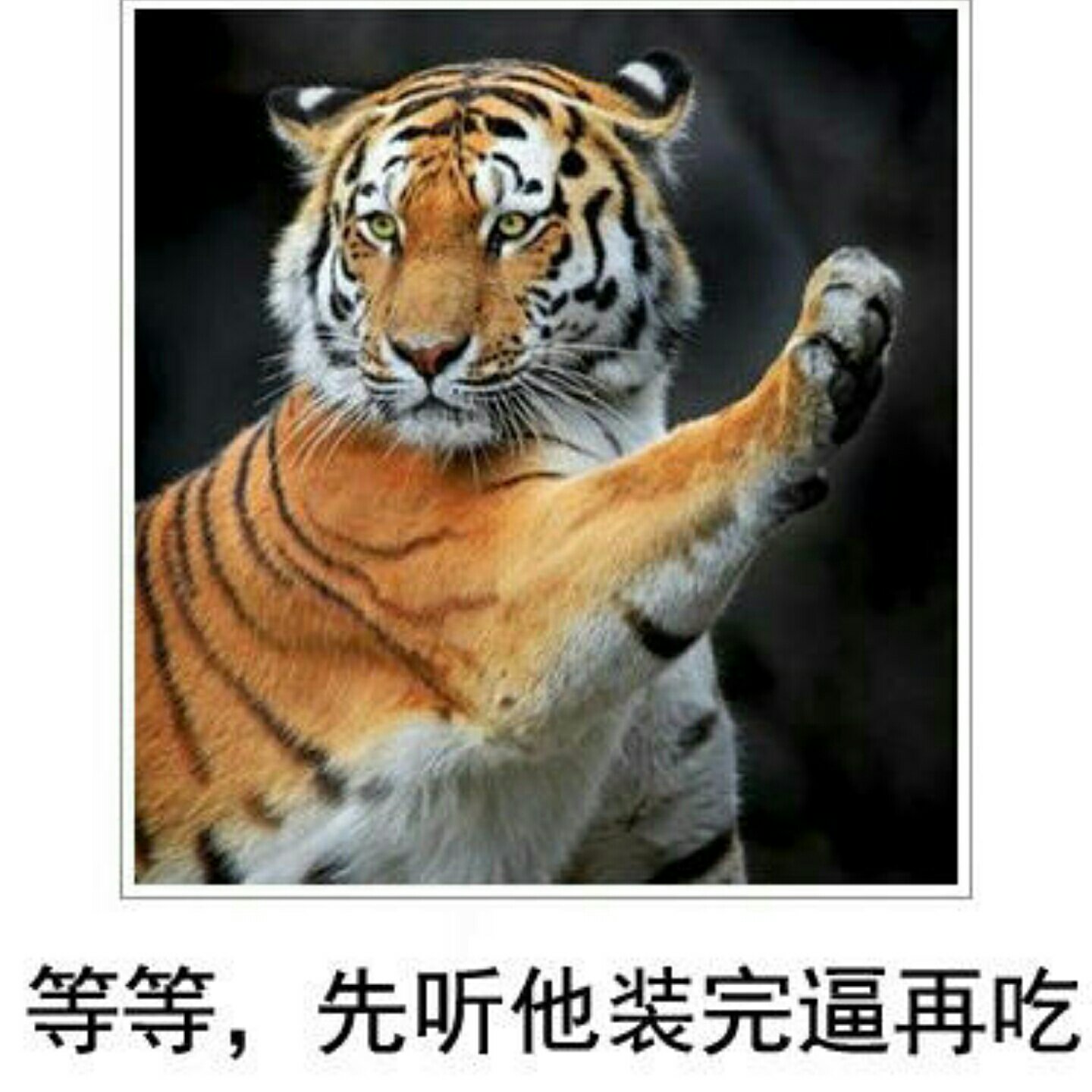 我是老板不是伙夫