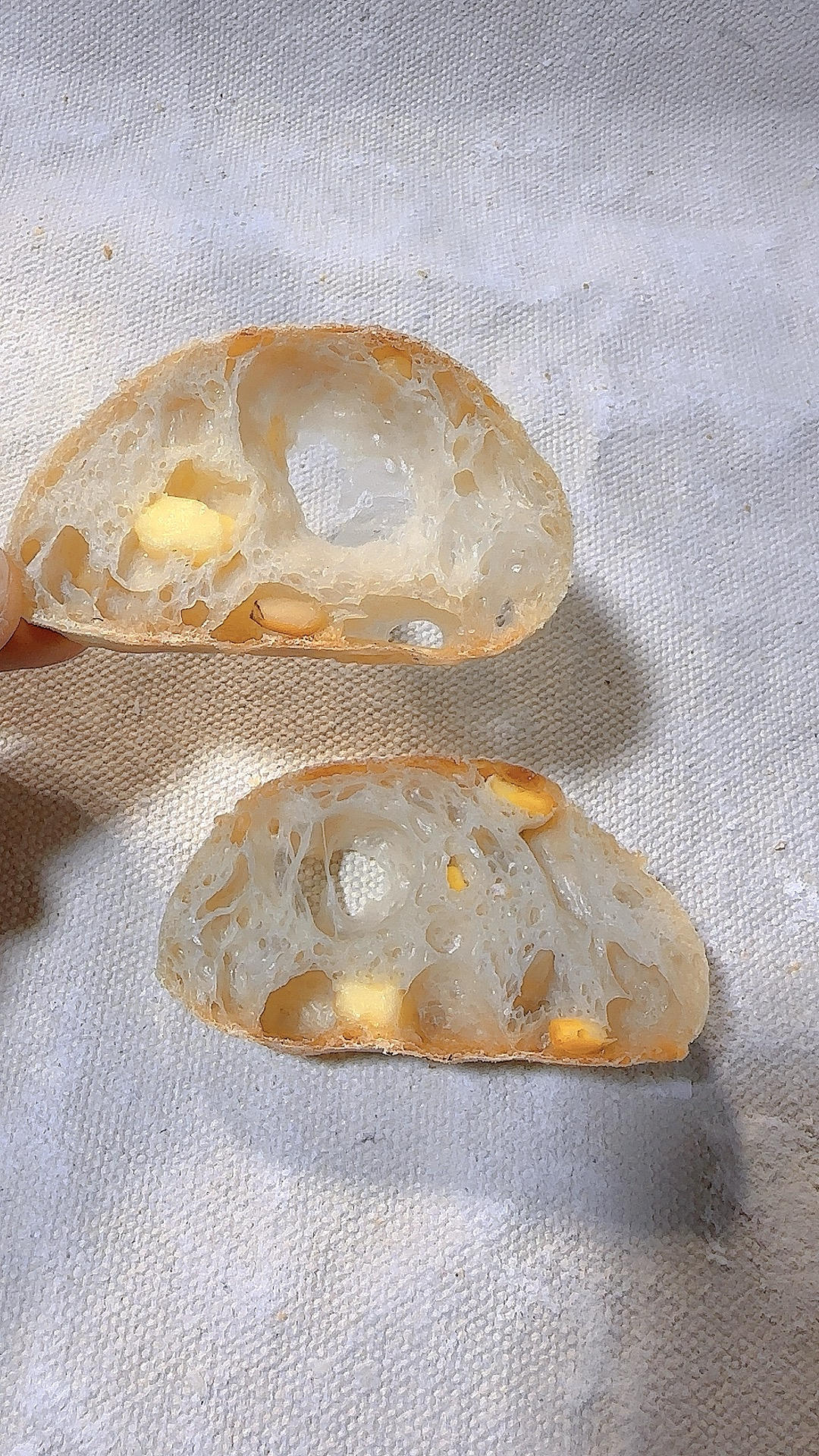 一份恰巴塔面包制作笔记