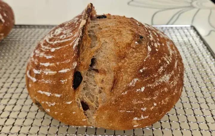 外表香脆内心柔软，油管看了不下20个视频综合出来的平民版波兰种欧包