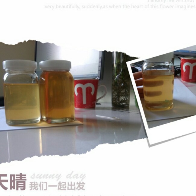 晚餐•2014年9月15日