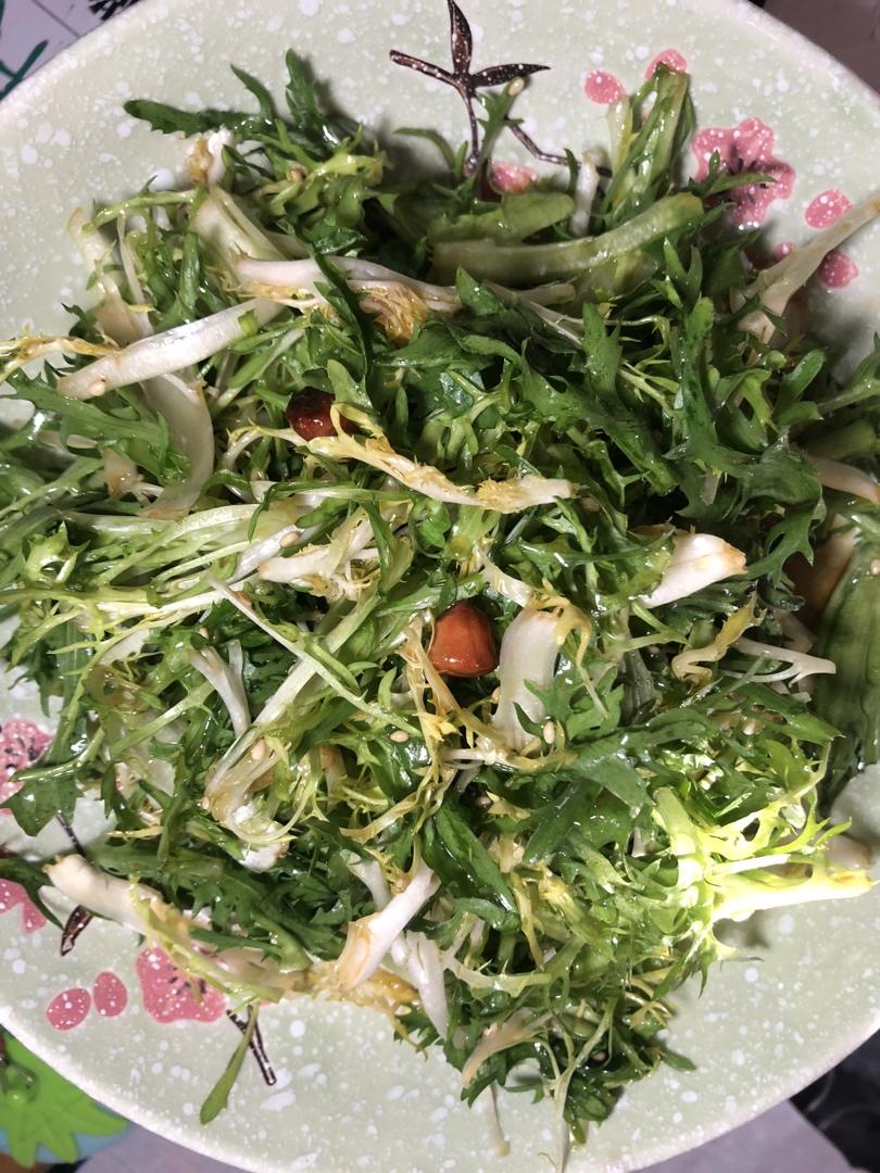 凉拌苦菊