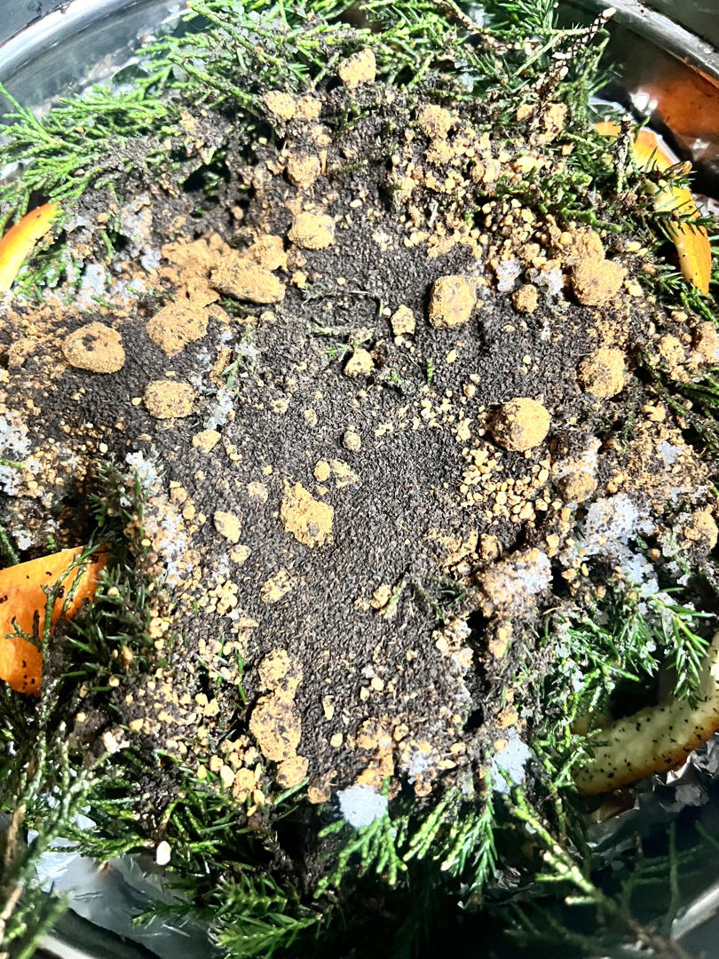 新手零难度+不咸/腊肉（酱油肉+风干腊肉）配方