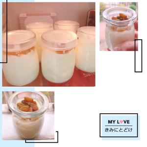 自制酸奶（奶粉版）德运脱脂奶粉-低糖版的做法 步骤4