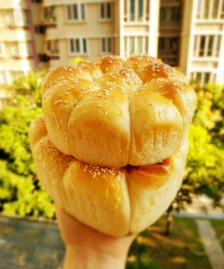 牛奶软面包（中种法）