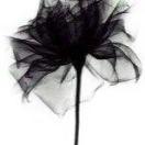 果儿妈妈学做饭