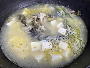 昂刺鱼豆腐汤的做法 步骤4