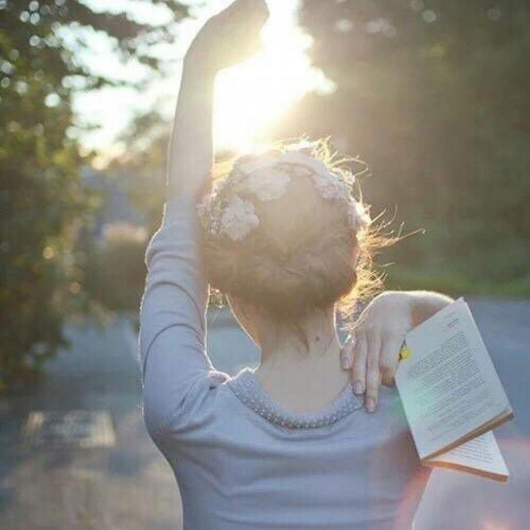 酸奶布丁的布丁