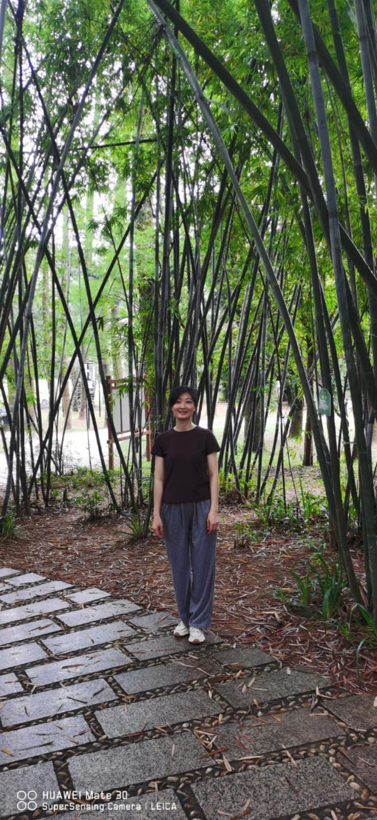 jd随心飞扬