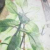 欠我一顿饭